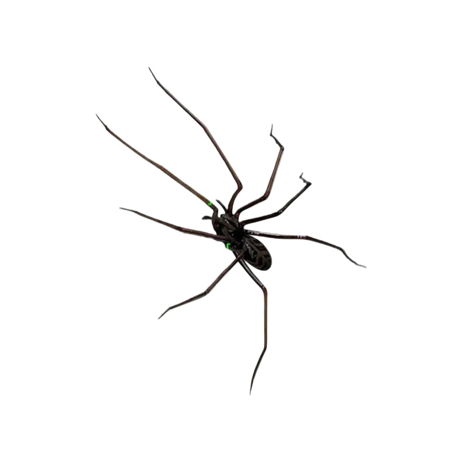 Wholesale  Home Decoration  Horror Fridge Magnet